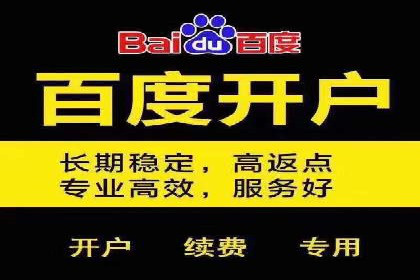 SEM推广竞价案例：提升广告投放效果